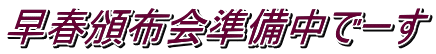 早春頒布会準備中でーす
